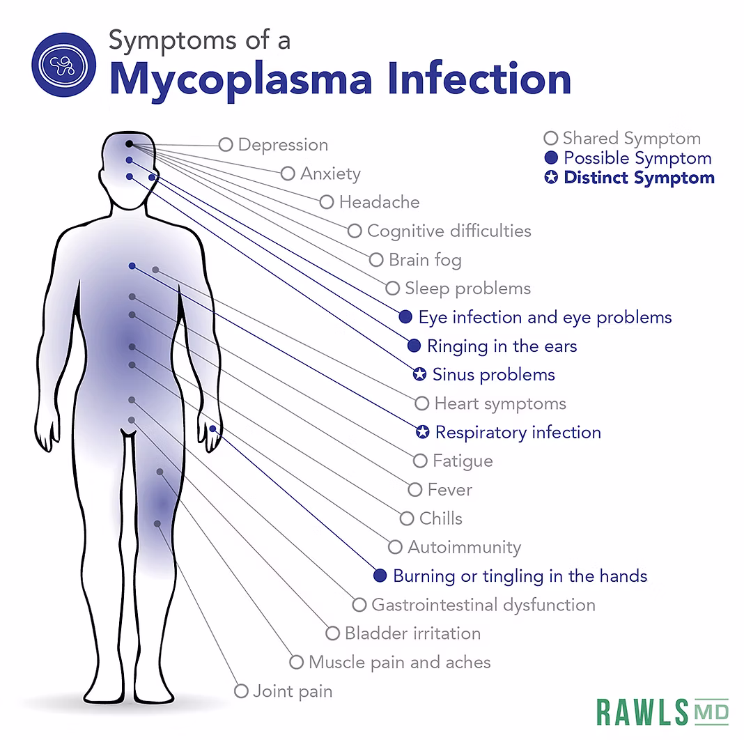 Mycoplasma Infection Symptom Chart